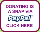 Donate button